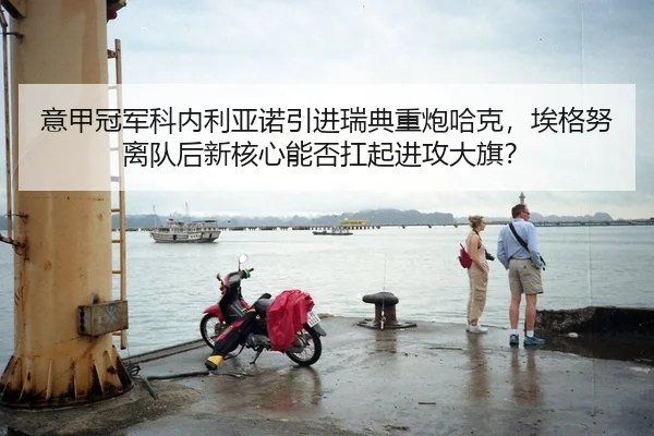 意甲冠军科内利亚诺引进瑞典重炮哈克，埃格努离队后新核心能否扛起进攻大旗？